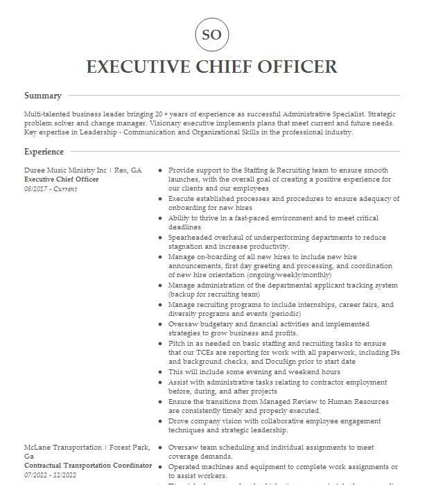 Executive Chief Officer Resume Example