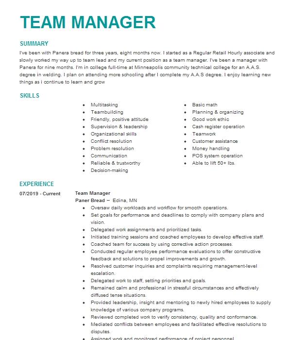 Team Manager Resume Example