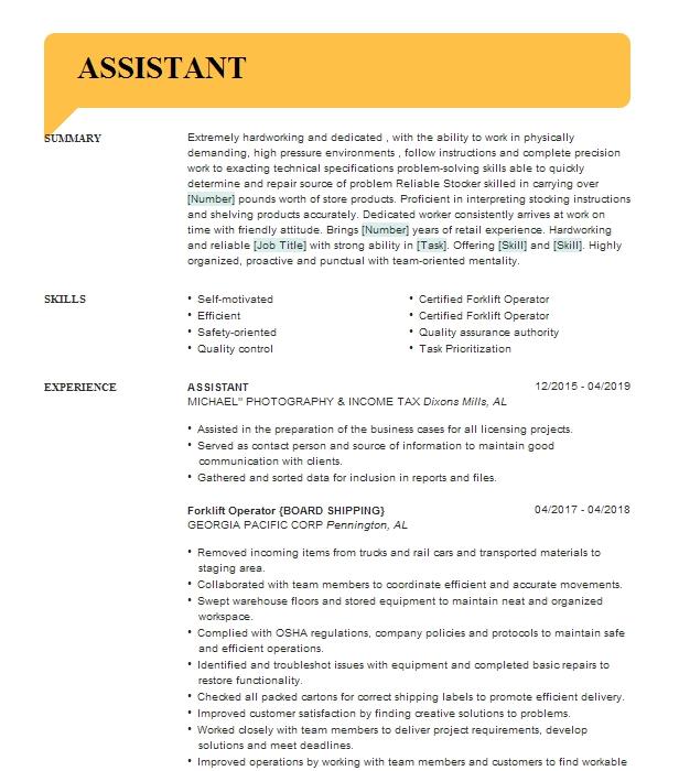 Executive Assistant And Board Clerk Resume Example