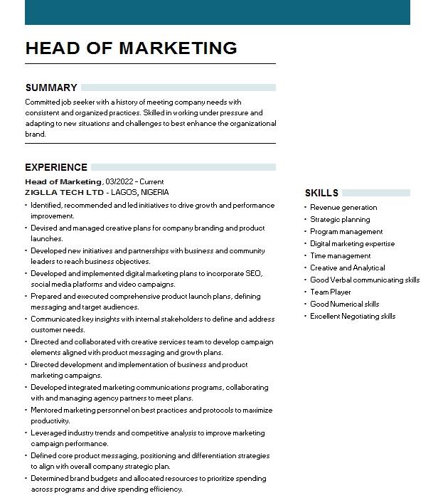 Head Of Marketing Resume Example 6466