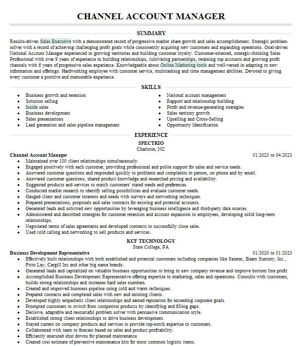 Channel Account Manager Resume Example