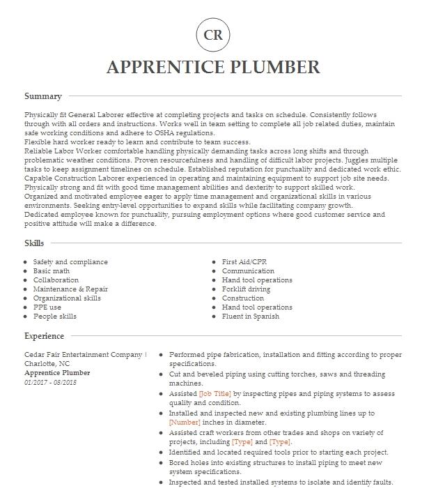 resume objective examples plumber