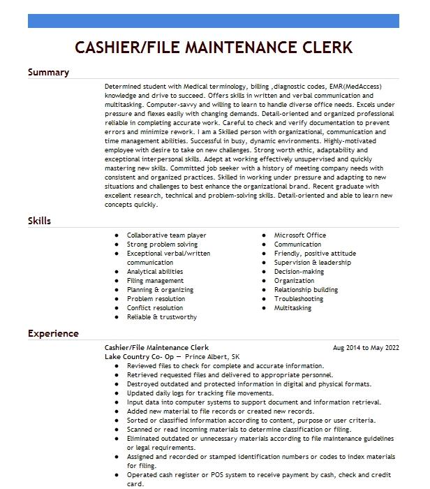 maintenance-support-clerk-resume-example