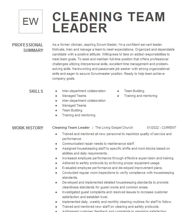 cleaning-team-leader-resume-example