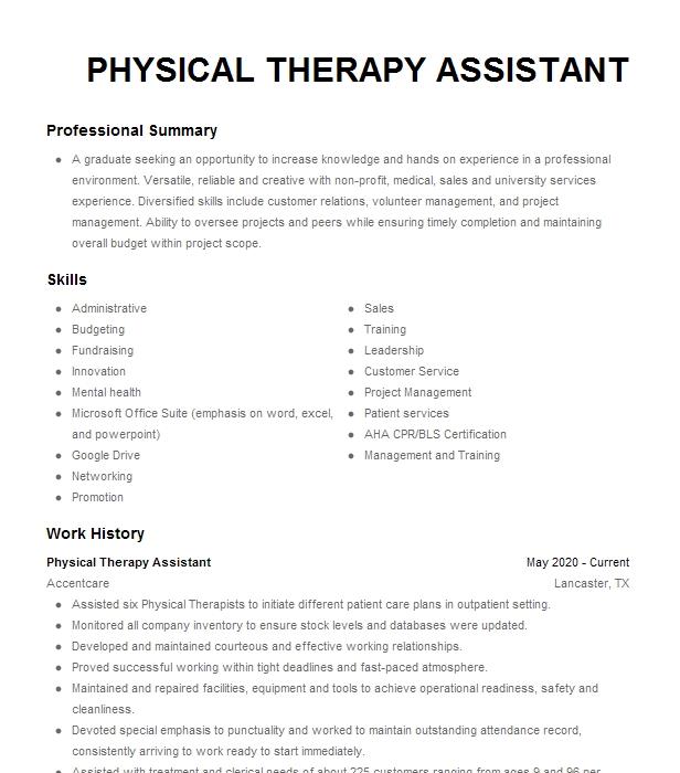 Physical Therapy Assistant Resume Example