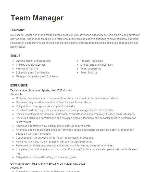 Team Manager Resume Example