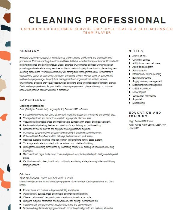 Cleaning Professional Resume Example