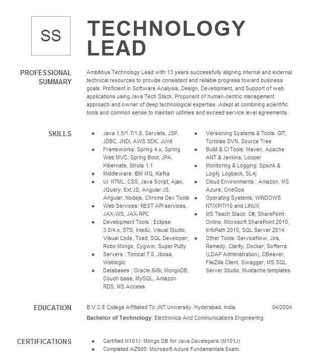 Technology Lead Resume Example