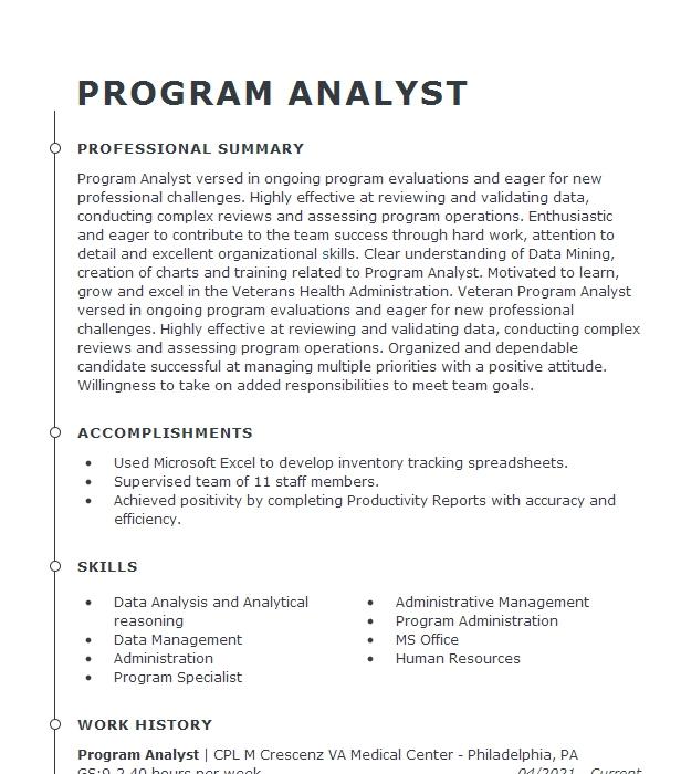 Program Analyst Resume Example