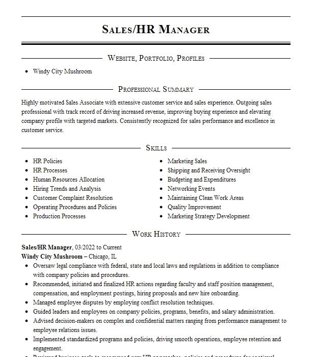 Sales Hr Manager Resume Example