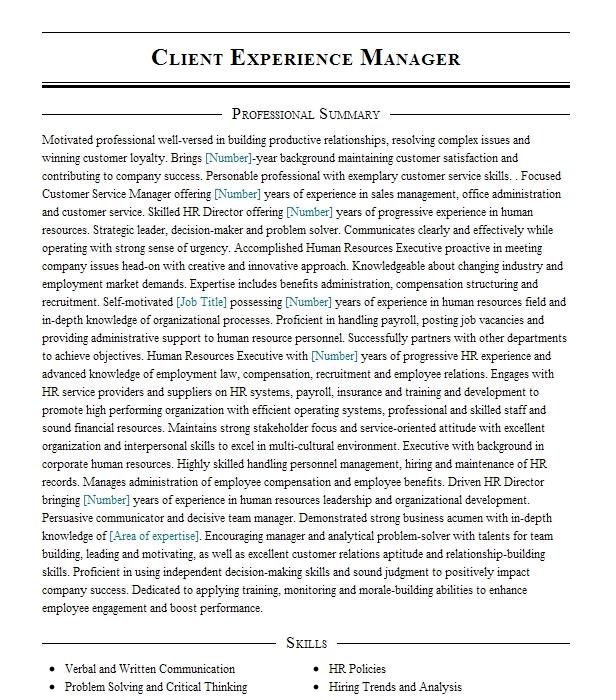 Client Experience Manager Resume Example