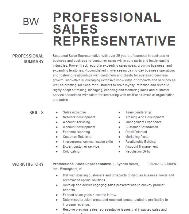 Professional Sales Representative Resume Example