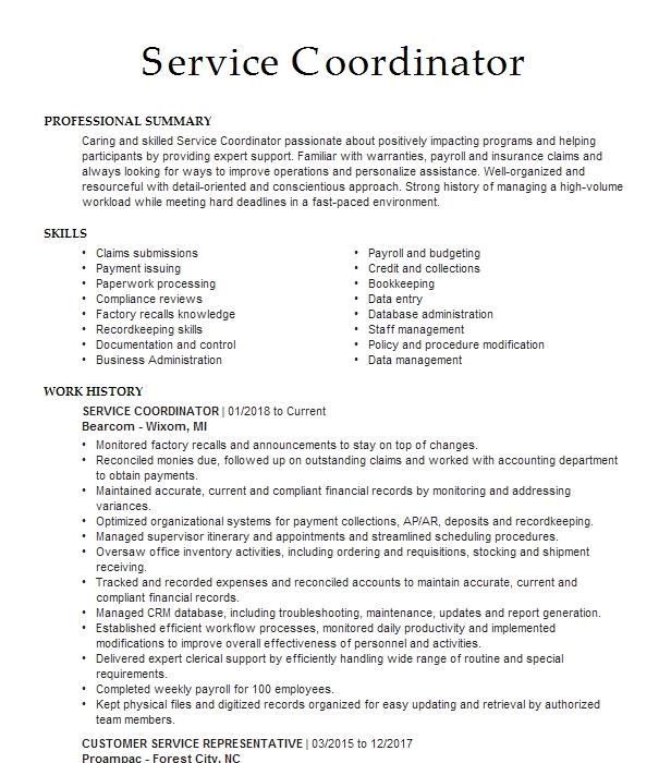 Service Coordinator Resume Example