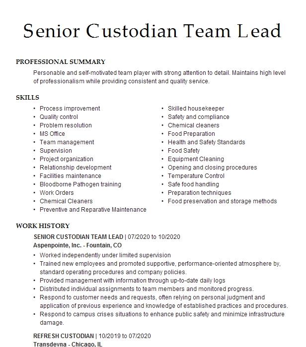 Senior Lead Resume Example