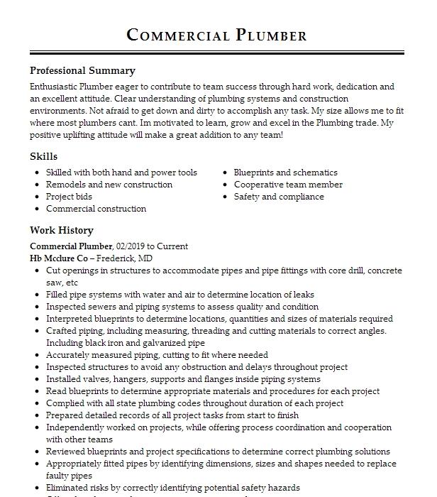 Commercial Plumber Resume Example