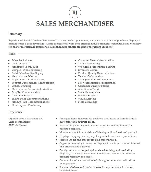 Sales Merchandiser Resume Example