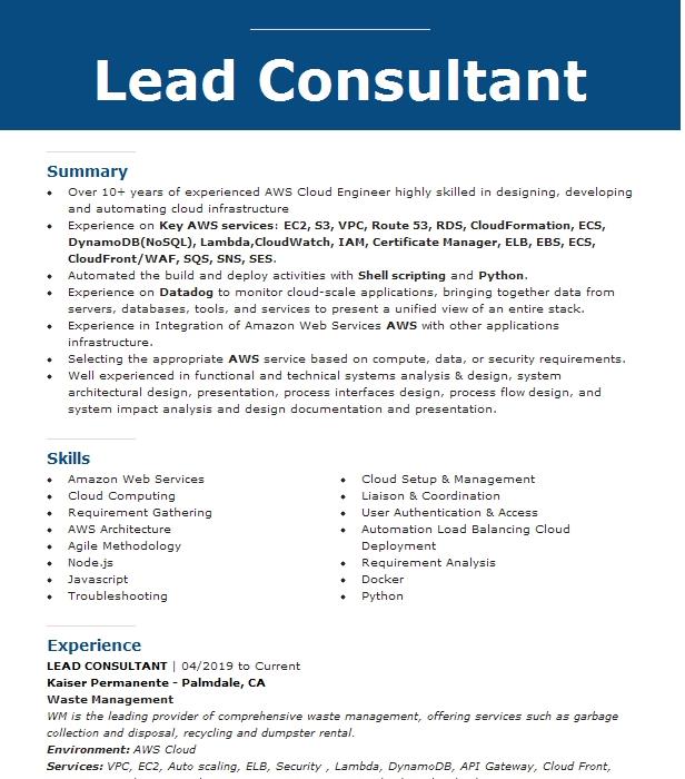 Lead Consultant Resume Example