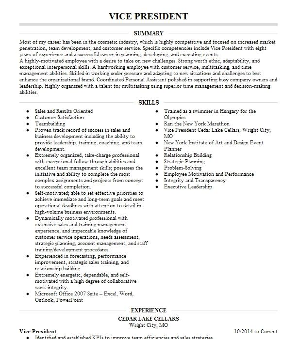 Vice President Resume Example