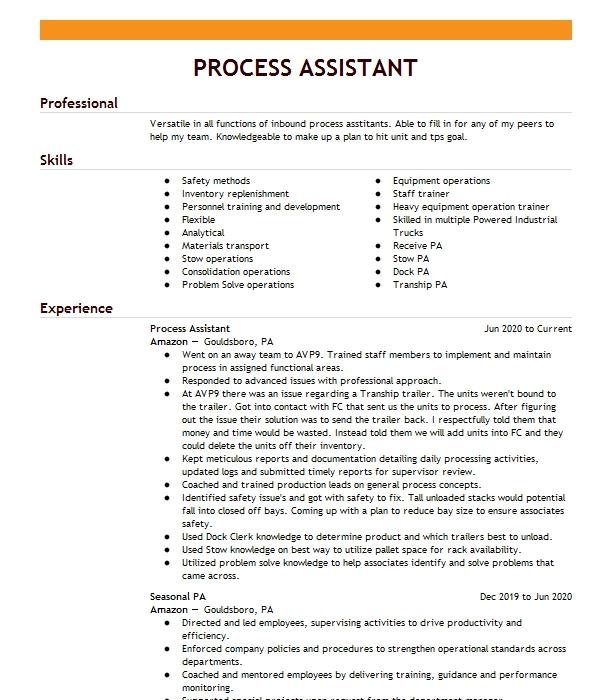 process-assistant-resume-example