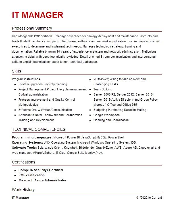 It Manager Resume Example