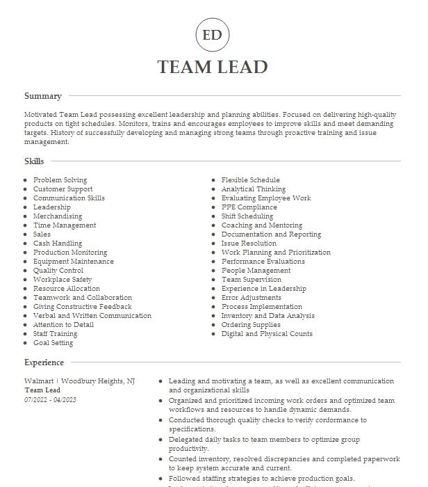 Team Lead Resume Example