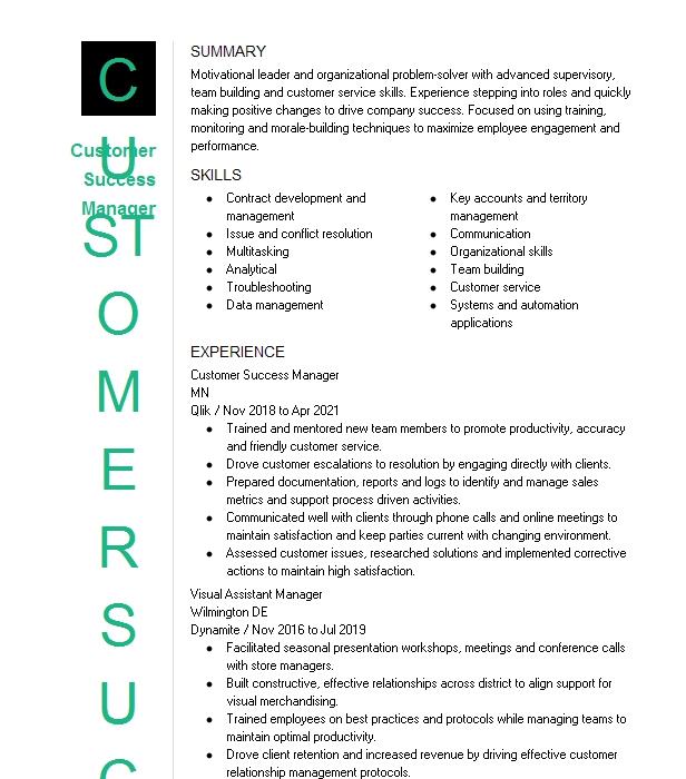 Customer Service Lead Resume Example