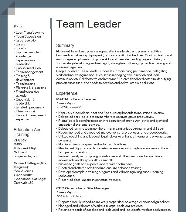 Team Leader Resume Example