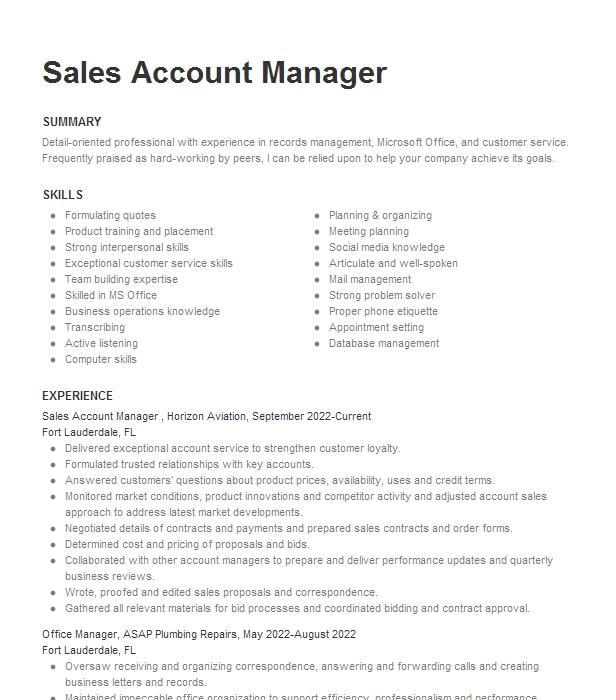 Sales Account Manager Resume Example