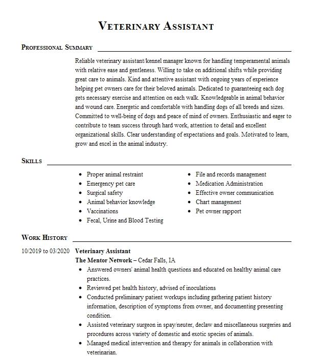 Veterinary Assistant Resume Example