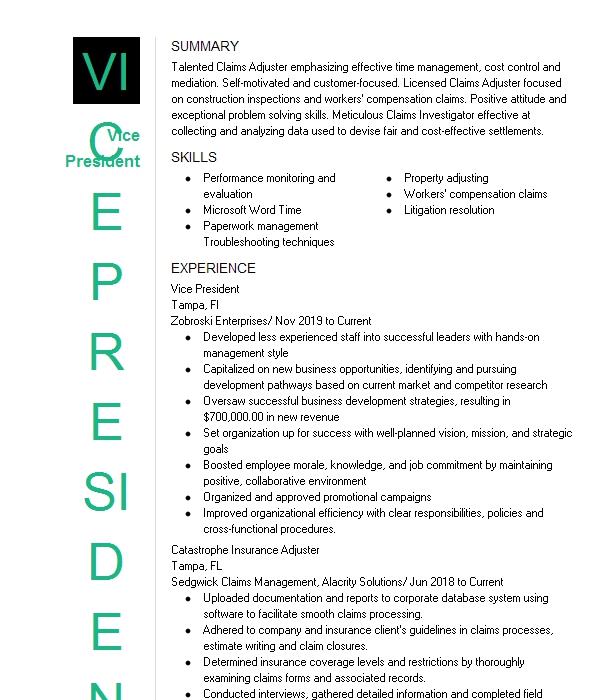 Vice President Resume Example