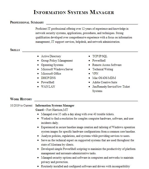 Information Systems Manager Resume Example 9439