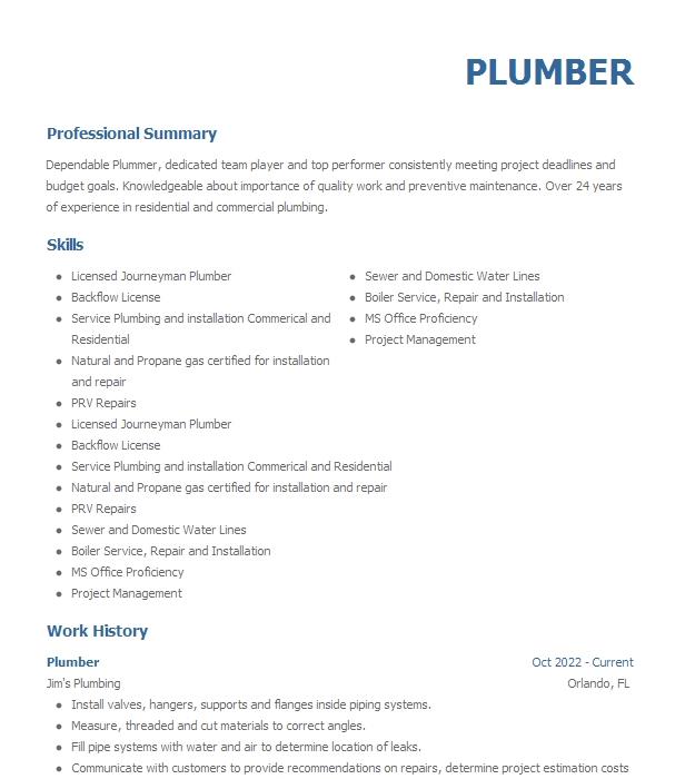 Plumber Resume Example 2844