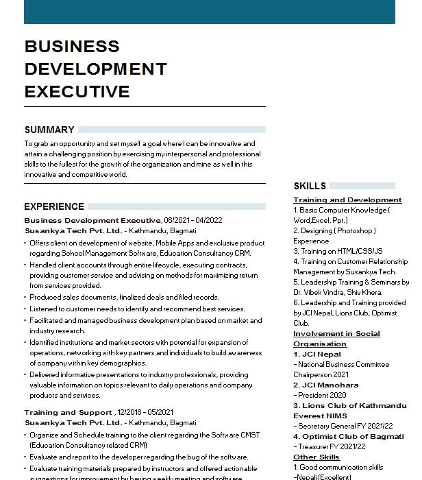 Business Development Executive Resume Example