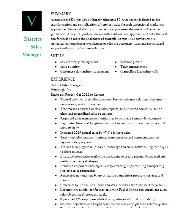 District Sales Manager Resume Example