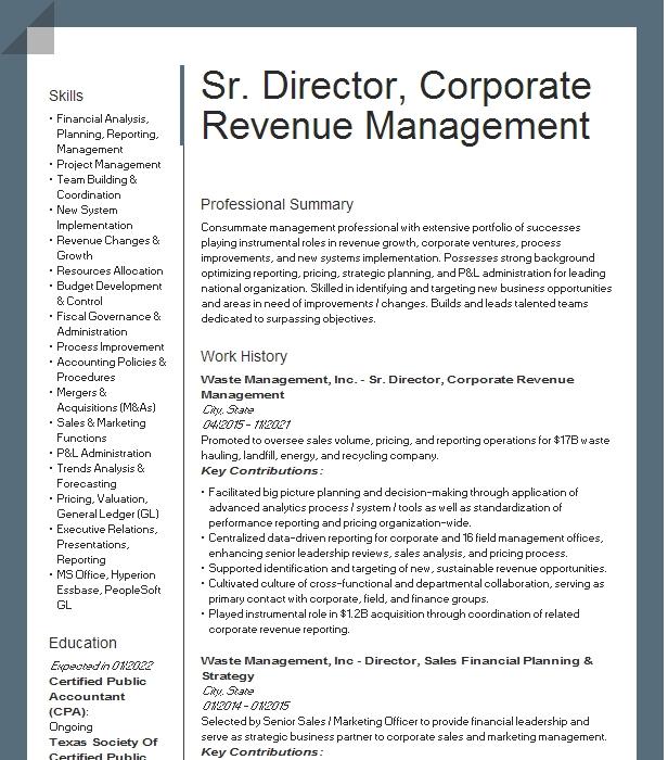 Sr. Director Account Management Resume Example