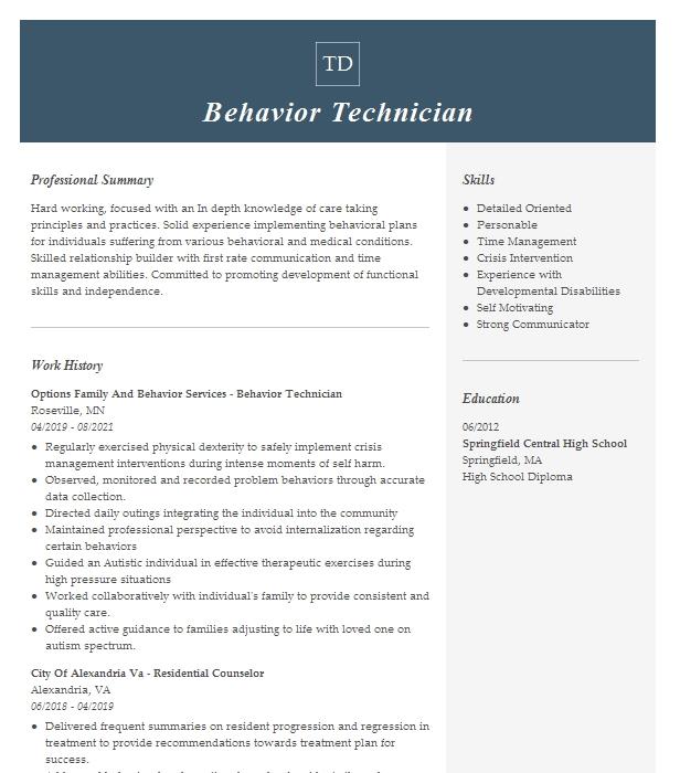 Behavior Technician Resume Example