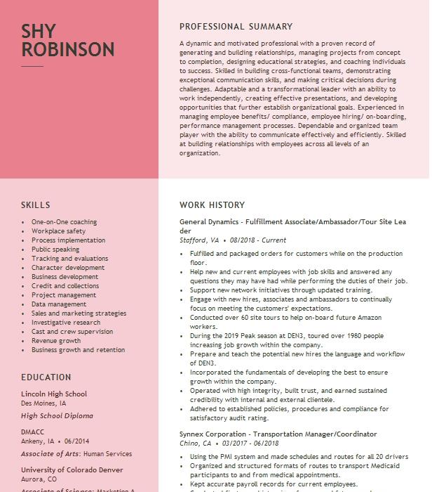 Tour Leader Resume Example