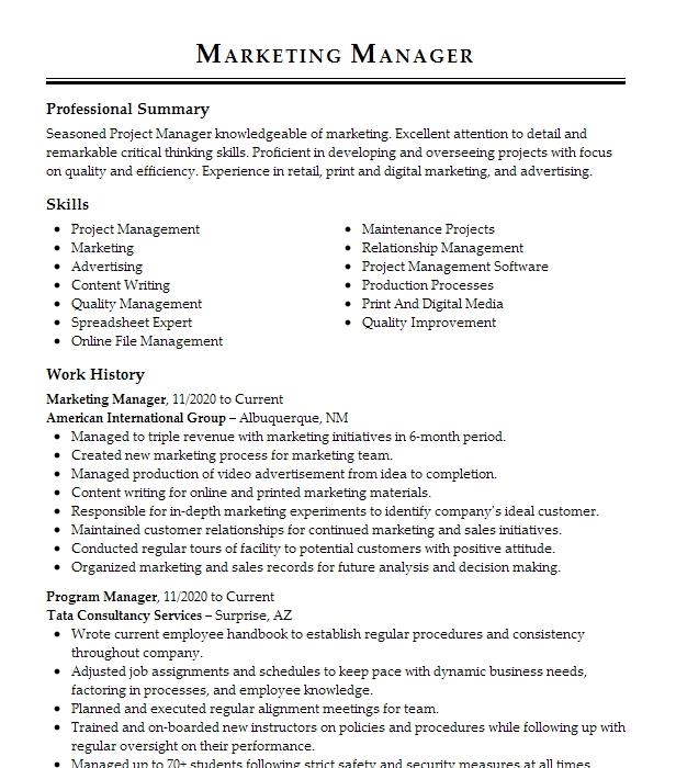 Marketing Manager Resume Example