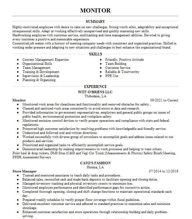 Monitor Resume Example