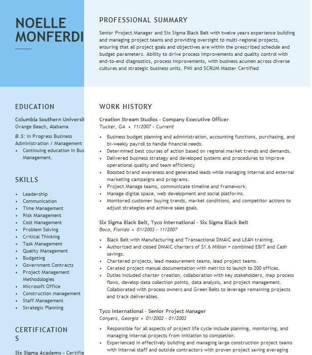 Company Executive Officer Resume Example