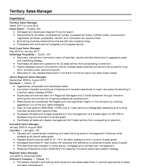 Territory Sales Manager Resume Example