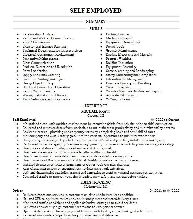 Self Employed Resume Example 8175