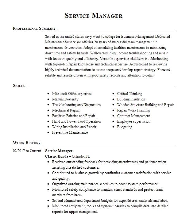 Service Manager Resume Example