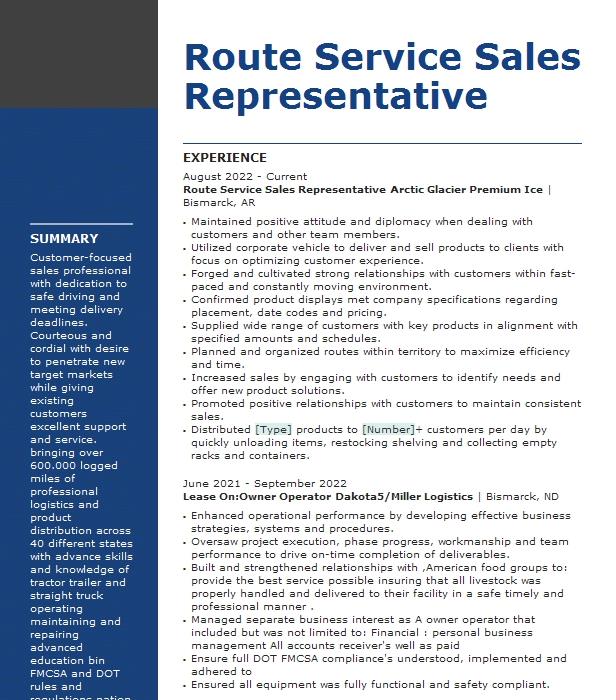 Route Service Sales Representative Resume Example