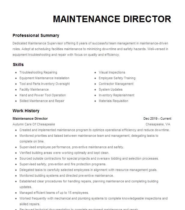 Maintenance Director Resume Example