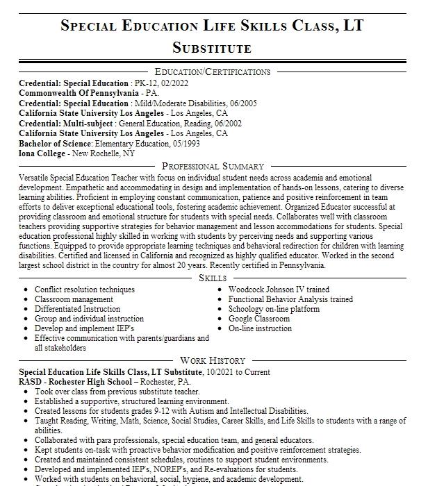 Police Officer Lt Resume Example