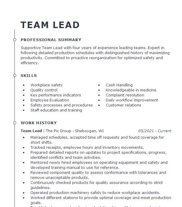 Team Lead Resume Example