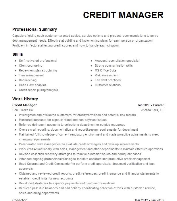 Credit Manager Resume Example