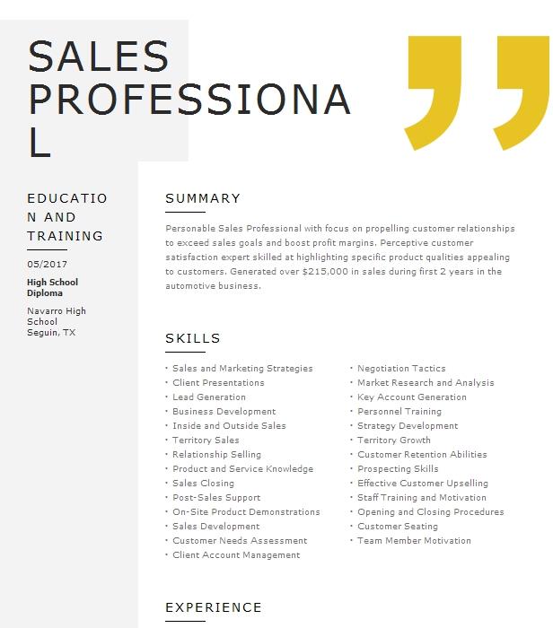 Sales Professional Resume Example