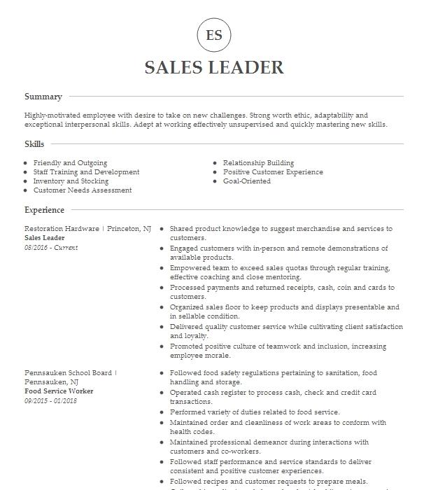 Sales Leader Resume Example